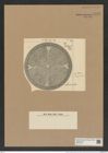 Aulacodiscus margaritaceus Ralfs (de-Toni-Nr.: Genus 182, Species 4515) Zeichnungen Sammlung Grunow Nr. 8088 (NHMW-BOT-W0377420)